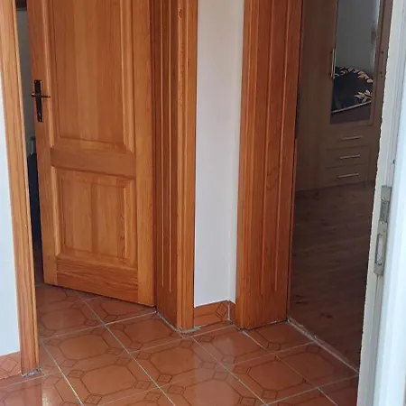 Pet Friendly